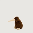 Barry the Brown Kiwi