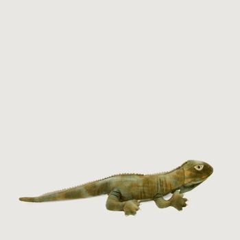 Trevor the Tuatara-lifestyle-The Vault