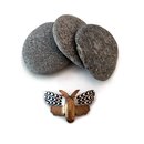 Moth Brooch Silver