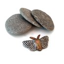 Moth Brooch Silver