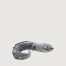 Ellie the Longfin Eel
