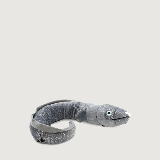Ellie the Longfin Eel