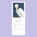 NZ Native Birds 2027 Calendar