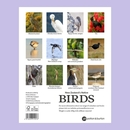 NZ Native Birds 2027 Calendar
