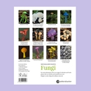 NZ Native Fungi 2027 Calendar