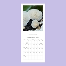 NZ Native Fungi 2027 Calendar