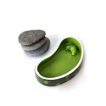 Fruity Bowl Pickle-artists-and-brands-The Vault