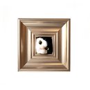 Hand Felted Cat in Frame