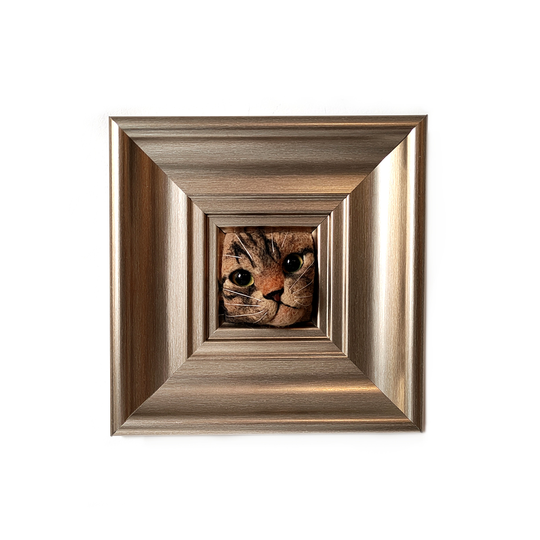 Hand Felted Cat in Frame