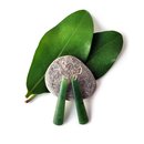 Pounamu Earrings Silver Hooks