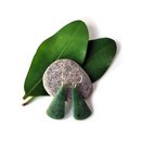 Pounamu Earrings Silver Hooks