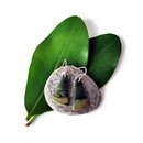 Pounamu Earrings Silver Hooks