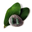 Pounamu Earrings Silver Hooks