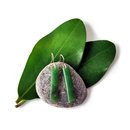 Pounamu Earrings Silver Hooks