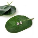 Paua Oval Studs Silver