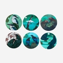 Round Coaster Set of 6 Boxed