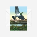 Soaring over Manaia Card