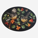 Oval Placemat Set of 4 NZ Birds
