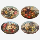 Oval Placemat Set of 4 Vintage Birds