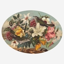 Oval Placemat Set of 4 Vintage Birds