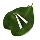 Bone Earrings