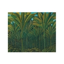 Botanicals Nikau A3 Print