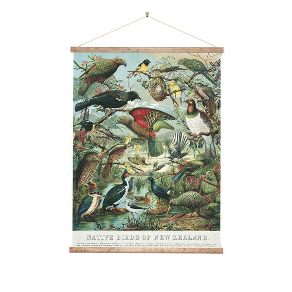 Wall Chart Med Native Birds Of Nz Gifts For Home From The Wall Chart Med Native Birds Of Nz Gifts For Home From The Vault Design