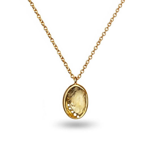 Baby Paua Pendant Gold Plate
