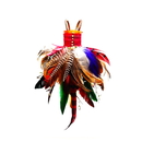 Voodoo Feather Dress Card