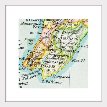 Wellington Vintage Map Print Matted