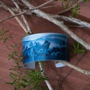 Alum Cuff Forest Azure