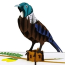 Tui Bird Creative Pop Up Card