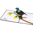 Tui Bird Creative Pop Up Card