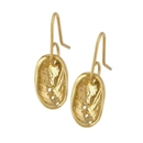 Baby Paua Earrings Gold Plate