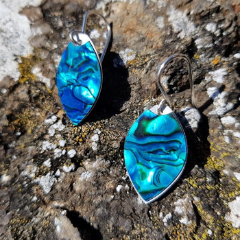Paua Veneer Earrings Plain Blue