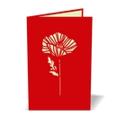 Poppy Creative Pop Up Card