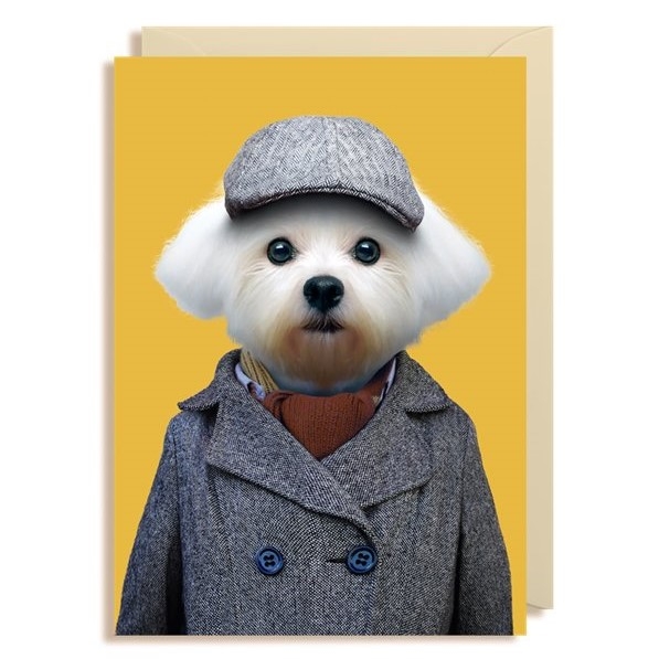 gift card blank maltese dog under 50 gift cards tags the gift card blank