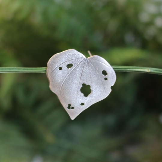 Kawakawa Brooch Silver
