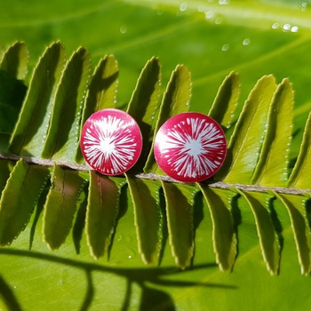 Alum Pohutukawa Studs Ruby