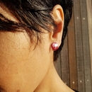 Alum Pohutukawa Studs Ruby