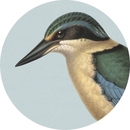 Cork Backed Placemat Single Kingfisher