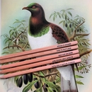 New Zealand Bird Pencil Pack of 5 Boxed