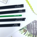 We Love Te Reo Pencil Pack of 5 Boxed