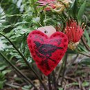 Heart Blanket Decoration Tui Red