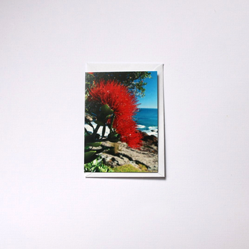 Coastal Pohutukawa Small Card