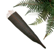 Huia Feather Wall Art-fern-flat-pottery-The Vault