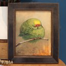 Kakariki Floof Original Oil Painting