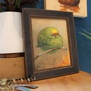 Kakariki Floof Original Oil Painting