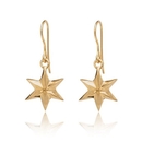 Star Earrings on Hook Gold Plate