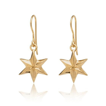 Star Earrings on Hook Gold Plate